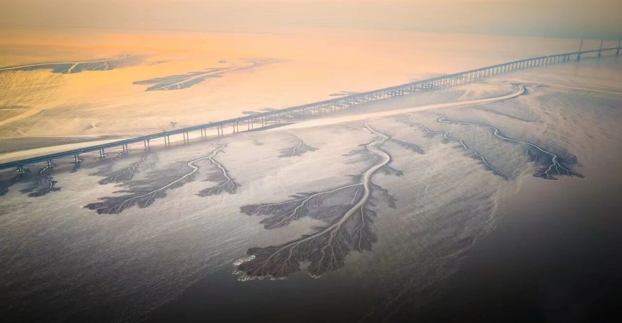 五大潮型罕见“同框”钱塘江海宁段有新发现